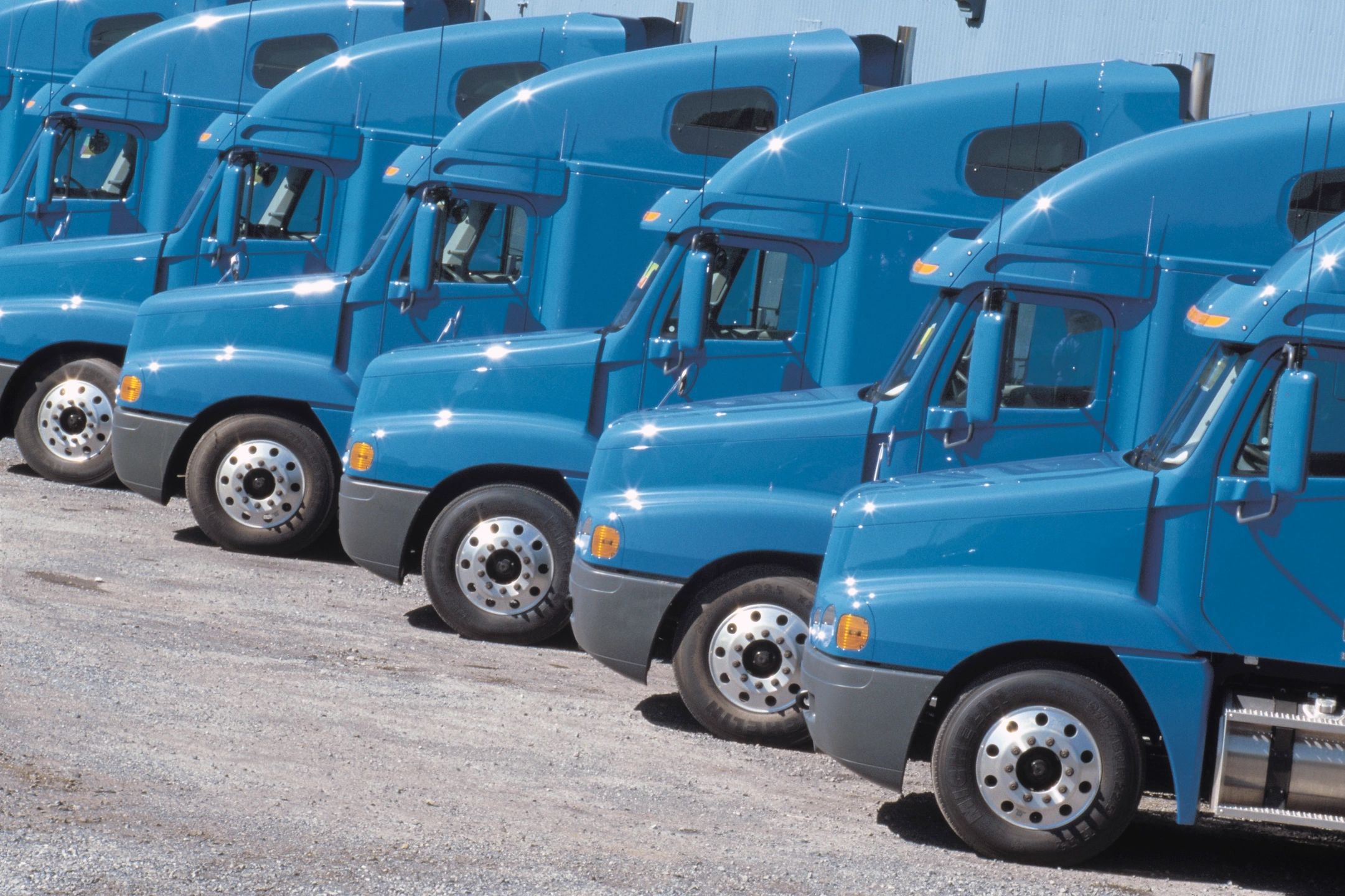 A row of blue semi-trucks parked closely together.