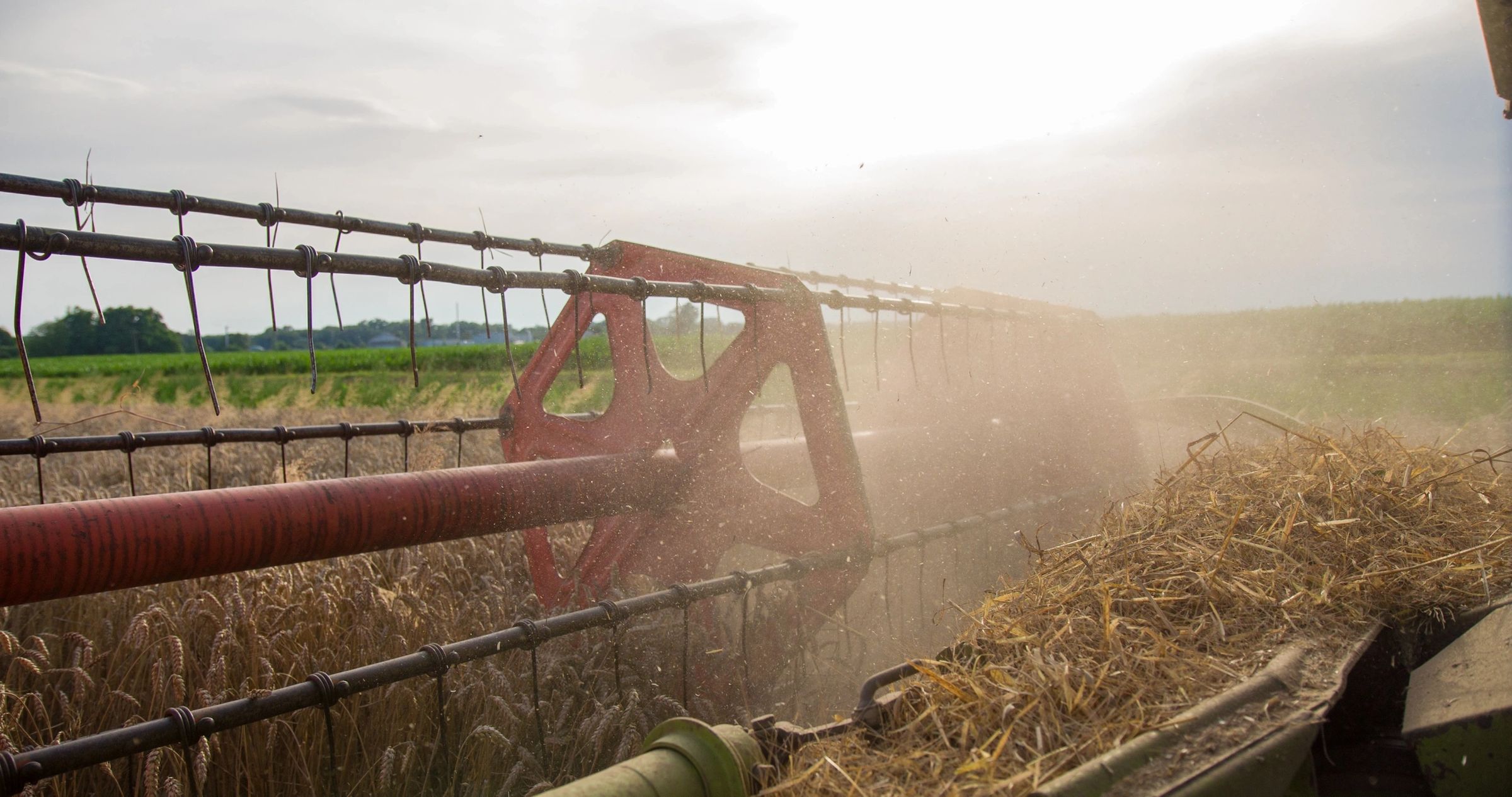 A harvester working in a dusty field at sunrise or sunset.