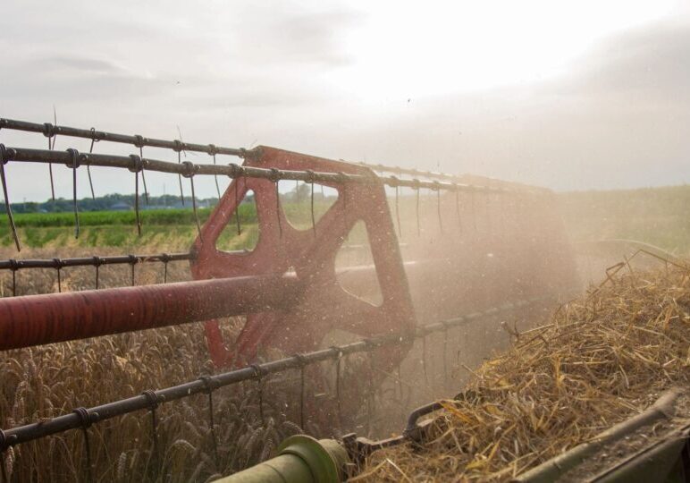 A harvester working in a dusty field at sunrise or sunset.